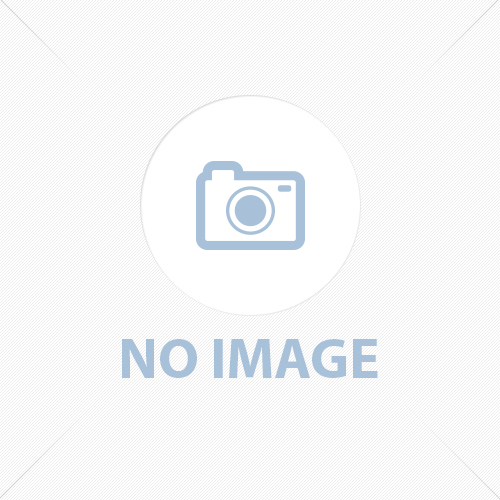 포포나무 햇 씨앗