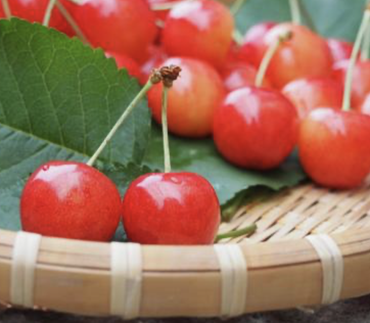 왕앵두 - 상묘, R3